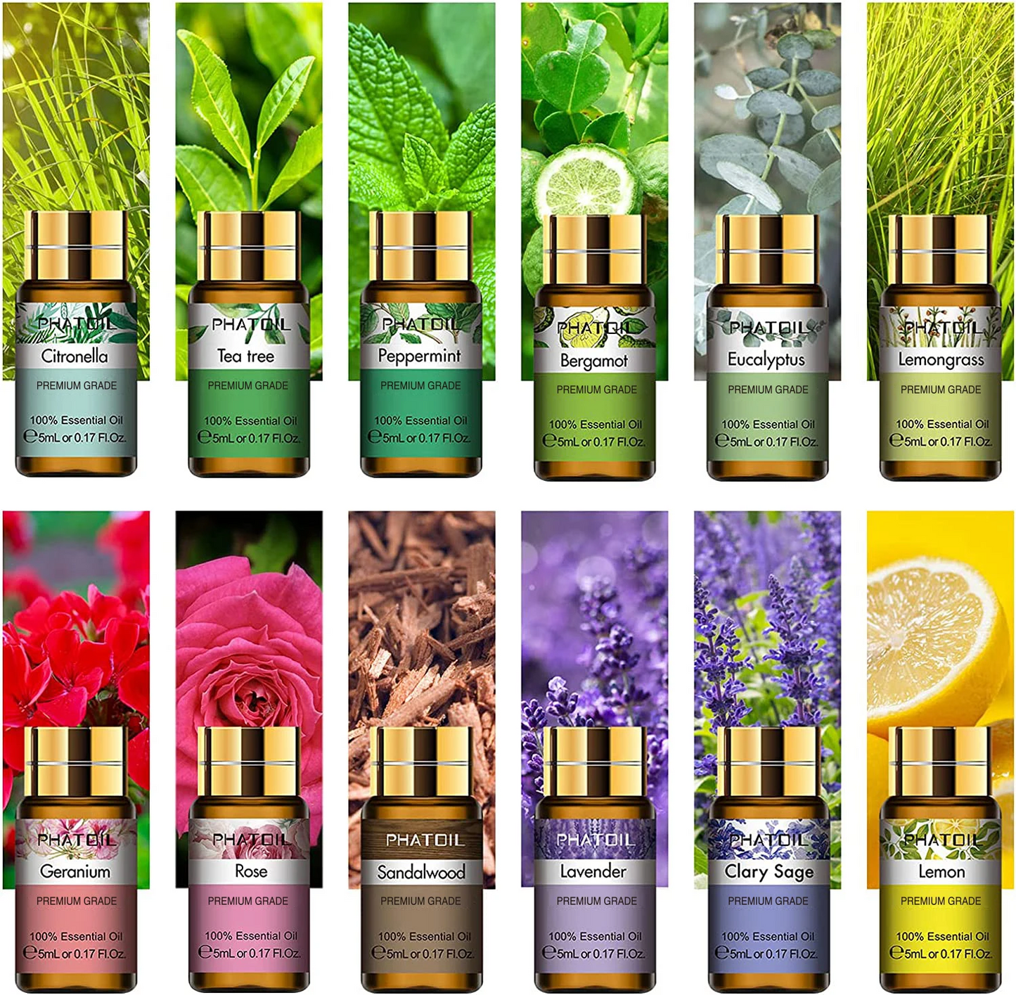 PHATOIL Eteeristen Öljyjen Lahjapakkaus (12 x 5ml) – Puhdasta Aromaterapiaa Kotiin & Hyvinvointiin
